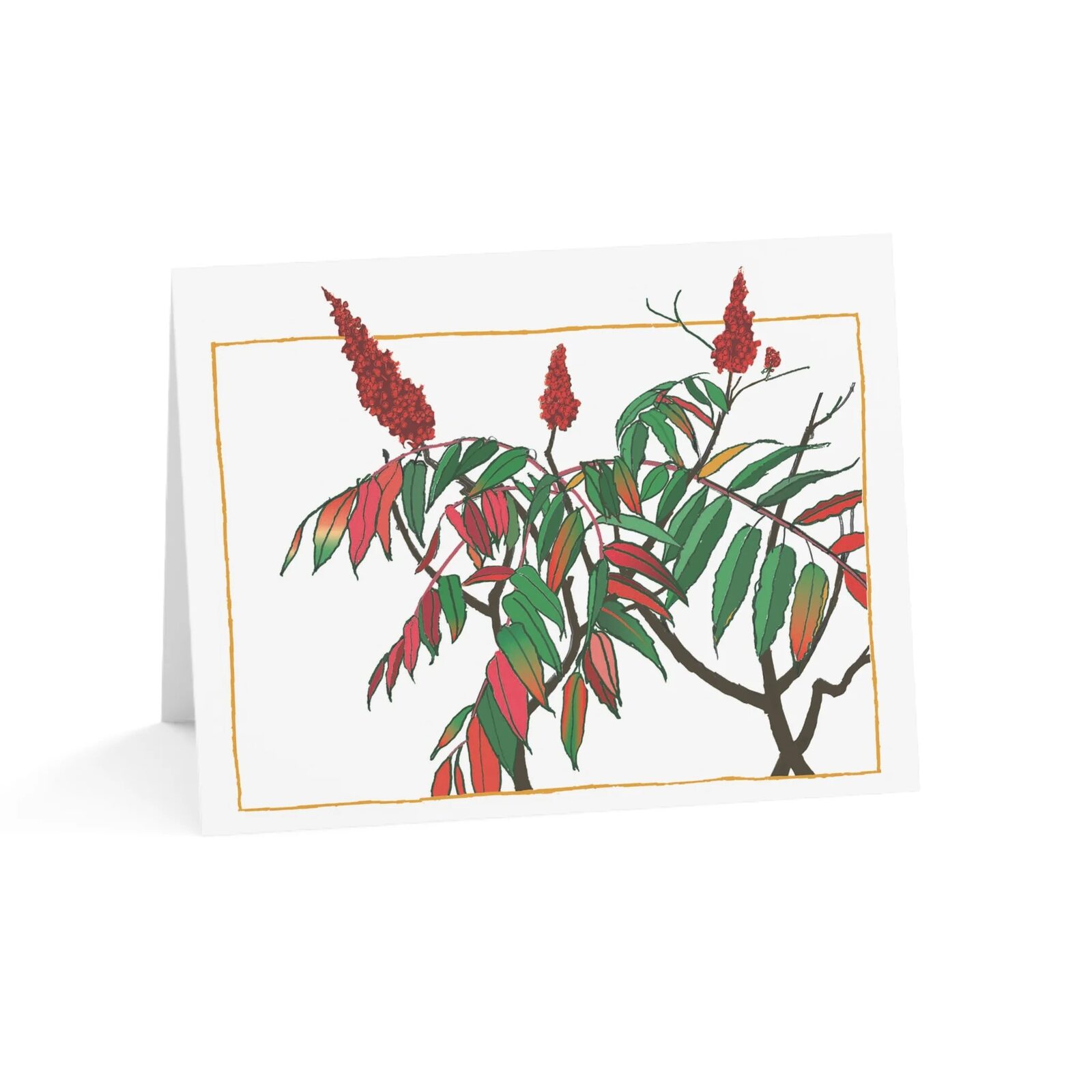 New York, Household Items, USD 6,  Premium All Occasion Greeting Cards That Say It Perfectly Every Sentiment, Every Moment...