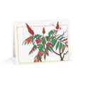 USD 6,  Premium All Occasion Greeting Cards That Say It Perfectly Every Sentiment, Every Moment...