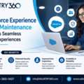 How Salesforce Experience Cloud Maintenance Supports Seamless Digital Experiences