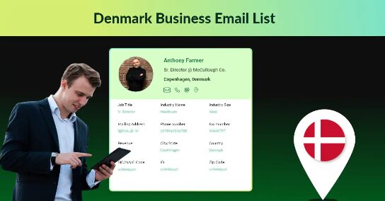 Copenhagen, Business, Looking For Denmark Email List? Get Verified Business Contacts