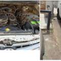 SAR 21500,  Toyota Innova 2009,  2009,  Automatic,  306000 KM,  Istamarah Valid, Fahas : 12 MonthValid, Odo:306000km, Chill AC,no Need To Repair Any Part
