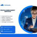 Profile Enrichment Services