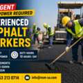Asphalt Worker