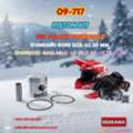 EUR 99999,  POLARIS SNOWMOBILE PISTON KIT (STD) &ndash; 09-717 / 09-717-F