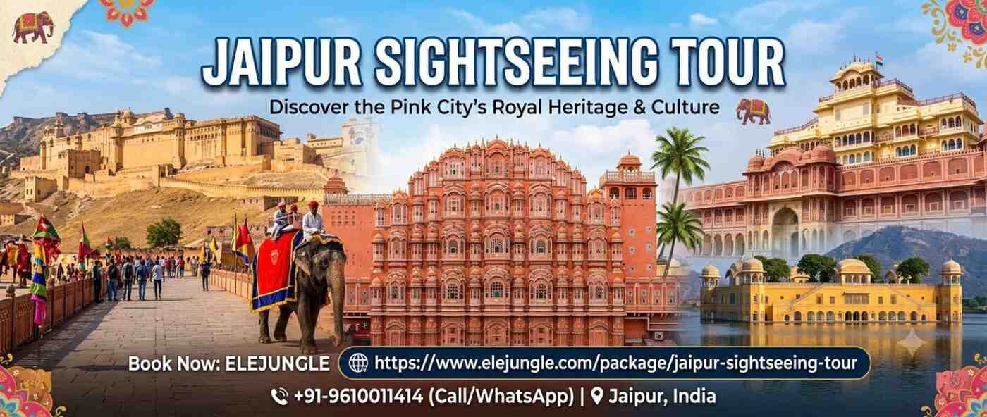 Jaipur, Travel, Discover The Pink City: Your Ultimate Jaipur Sightseeing Tour Guide