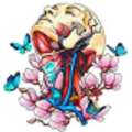 Best Thyroid Doctor In Chennai