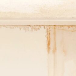 New York, Business, Beach Rental Property Handyman Delaware | Trusted Home Maintenance