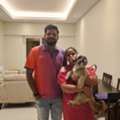 Pet Import Permit In UAE