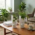 Leading Pots Manufacturer & Wholesaler In India | Garden's Need