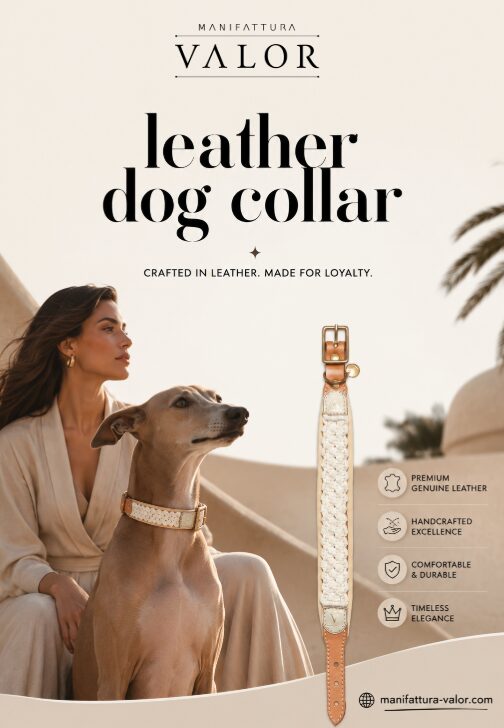 Paris, Pet Supplies, Premium Leather Dog Collar For Comfort, Style & Everyday Use