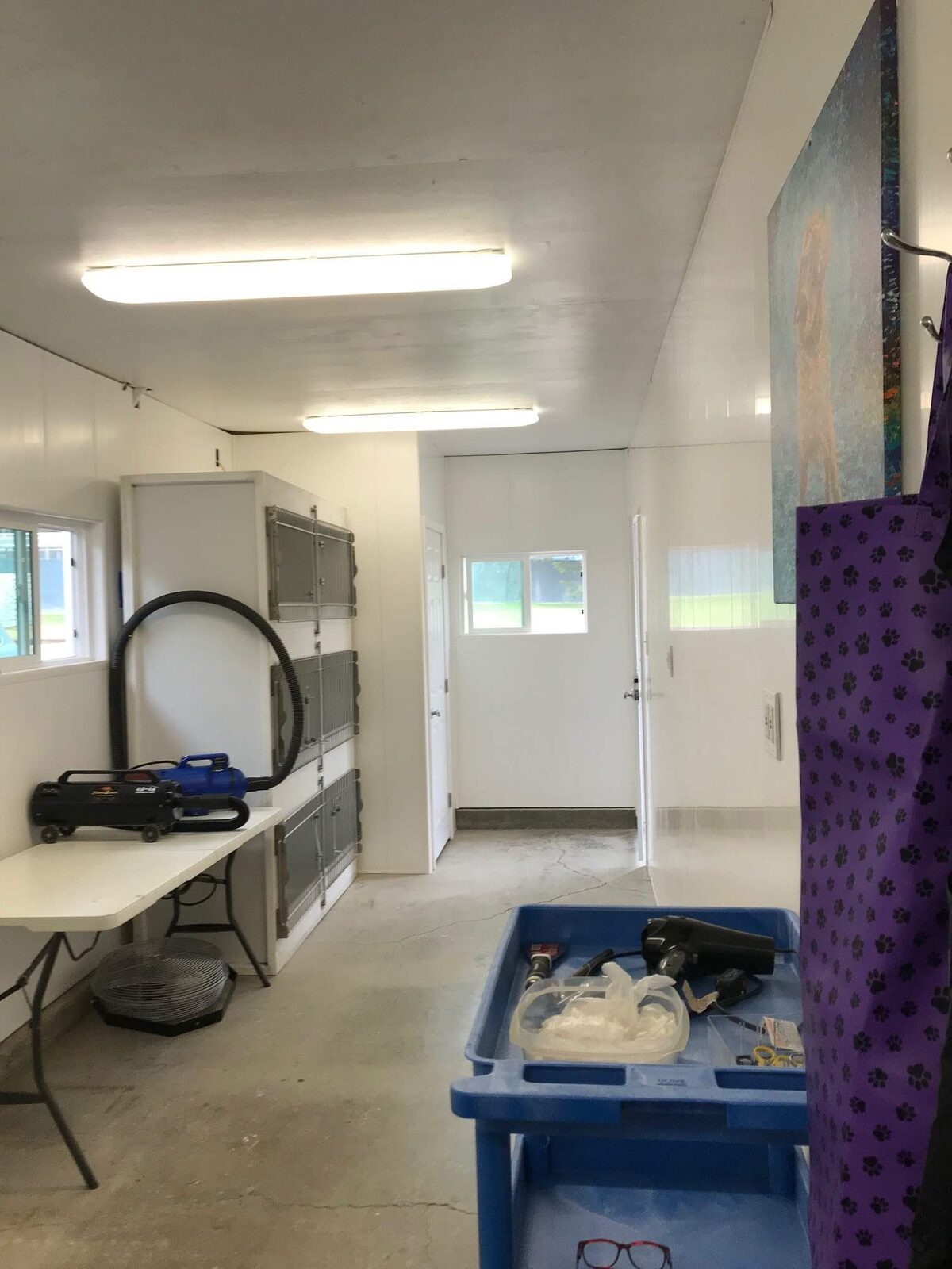 New York, Real Estate, Install PVC Wall Covering For Dog Kennels To Improve The Hygienic Conditions