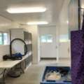 Install PVC Wall Covering For Dog Kennels To Improve The Hygienic Conditions