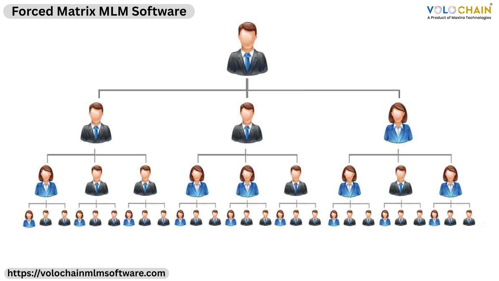 Noida, Software Development, Advanced Forced Matrix MLM Software For Rapid Business Growth