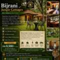 Forest Stay In Jim Corbett | Bijrani Jungle Cottages
