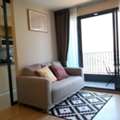 THB 24000,  47 Sq. Meter,  Ideo O2 Spacious Comfortable Clean 21st Floor BTS Bangna