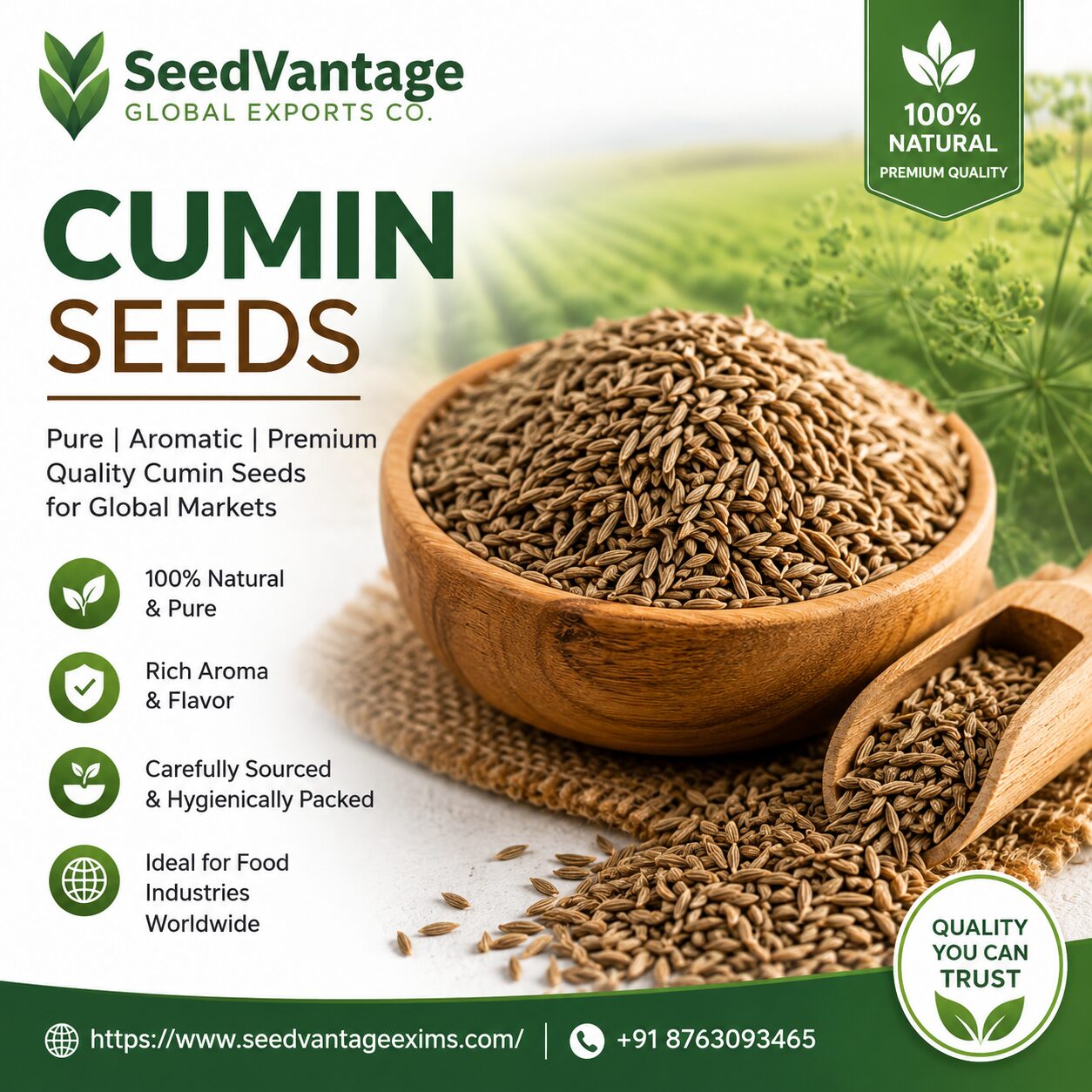Mumbai, Food, Reliable Bulk Supplier Of Premium Cumin Seeds