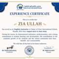 Dear Hiring Manager,  I Hope This Email Finds You Well.  My Name Is Ziaullah, And I Am Wri