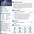 Need Job