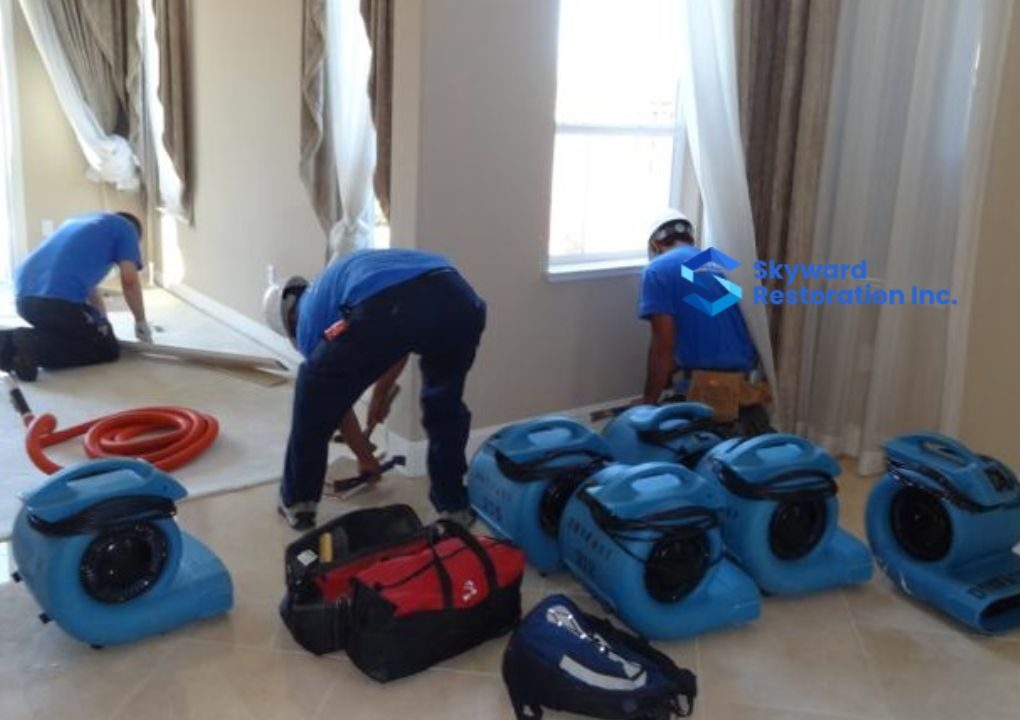 Calgary, Business, Trusted Water Damage Restoration Companies In Calgary