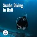Scuba Diving In Bali | Active Bali