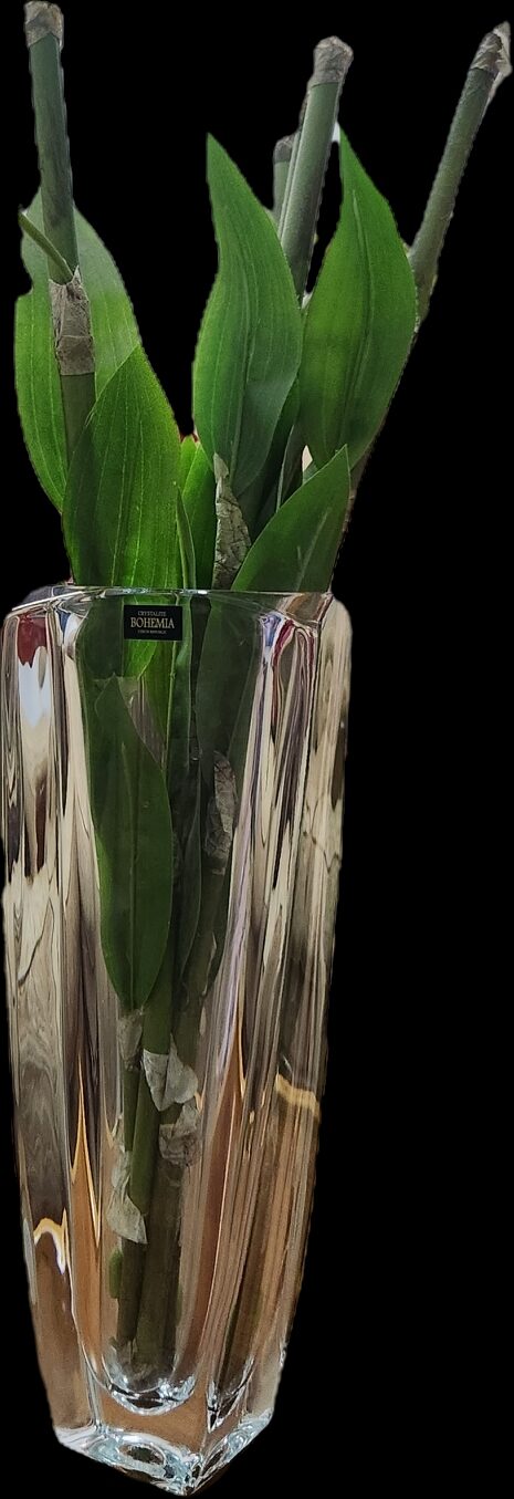 Jeddah, Household Items, SAR 80,  Original Bohemia Crystal Vase (32cm) /فازة كريستال بوهيميا أصلية (32 سم)