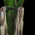SAR 80,  Original Bohemia Crystal Vase (32cm) /فازة كريستال بوهيميا أصلية (32 سم)