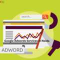 Struggling To Grow Your Business Online? Choose The Right Digital Partner
