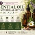 INR 719,  Essential Oil Manufacturer And Supplier In India