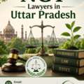Need Experienced NGT Lawyers In Uttar Pradesh For Environmental Cases?