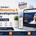 Digital Hub Solution | Digital Marketing & Web Development Company &ndash; Contact Us Today