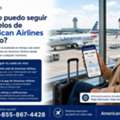 ¿Cómo Puedo Seguir Los Vuelos De American Airlines En Vivo?