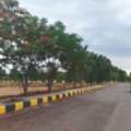 INR 16499,  350 Sq. Yard,  Srisailam Highway's Most Affordable Plots: CBC Cosmopolis, 6305534817*