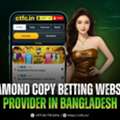 Diamond Copy Betting Website Provider In Bangladesh
