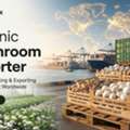 Premium Mushroom Exporter From India | Bulk Mushroom Supply Worldwide