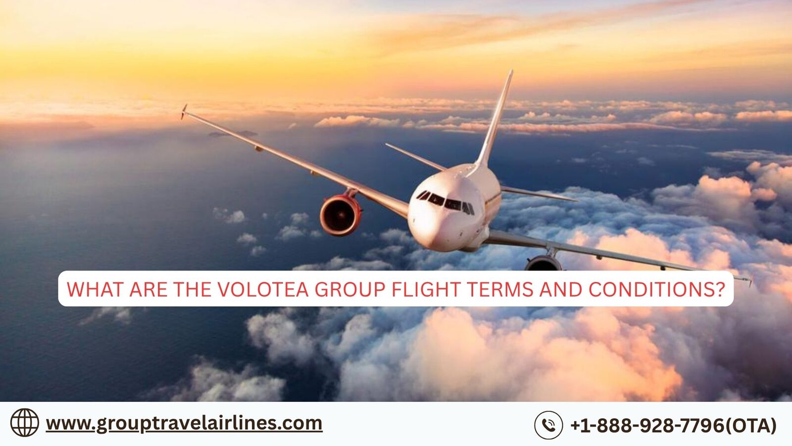 New York, Travel, What Are The Volotea Group Flight Terms And Conditions?