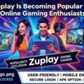 Why Zuplay Is Becoming Popular Among Online Gaming Enthusiasts