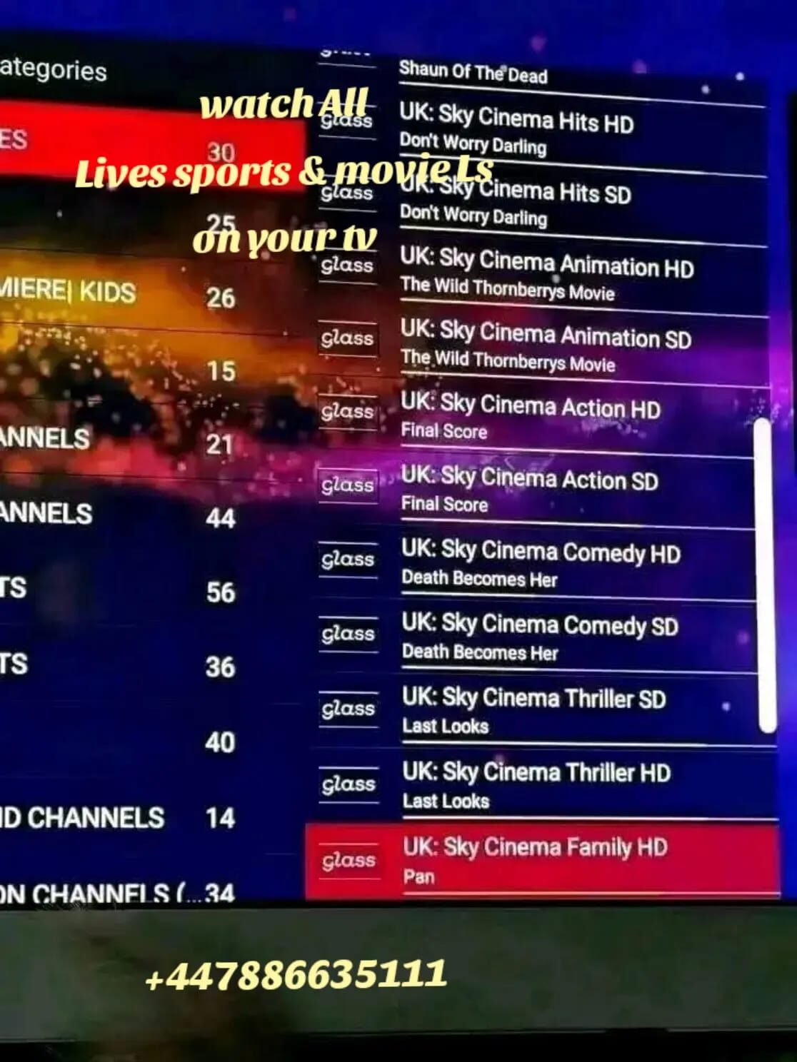 Riyadh, Job Seekers, HD IPTV Channels Available Now