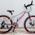 BHD 35,  Bicycle