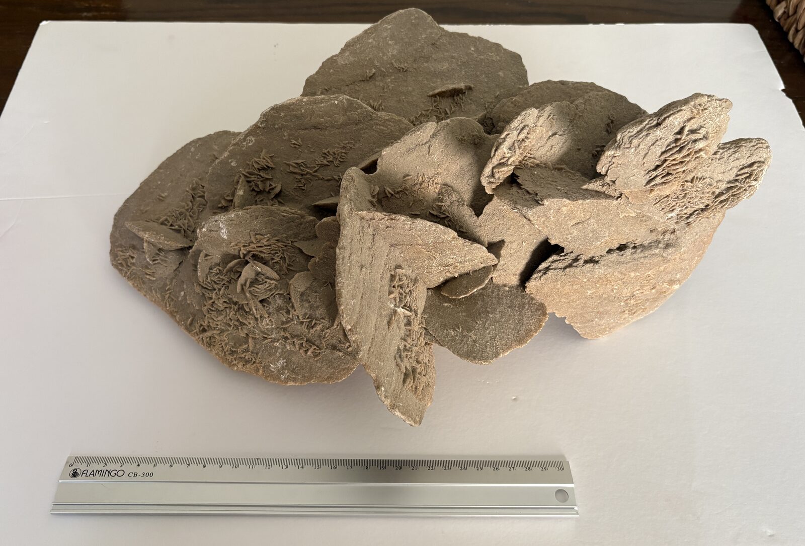 Manama, Collectibles, BHD 120,  Rare Approx 7kg Large Desert Rose Crystal Cluster (Saudi Origin) - Premium Specimen