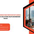 Salesforce Consulting Services In Florida: How HyphenX Solutions Helps Businesses Scale