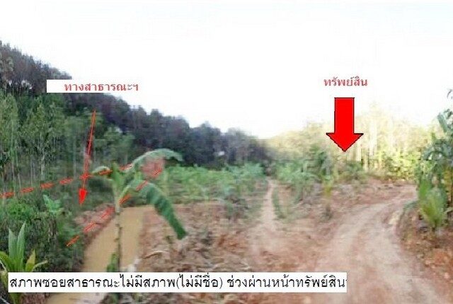 Bangkok, Real Estate For Sale, THB 1830000,  6 BR,  4250 Sq. Feet,  Empty Land, Sadao-Songkhla, Ban Rata Road, Khao Kiat Subdistrict, Sadao District,