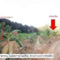 THB 1830000,  6 BR,  4250 Sq. Feet,  Empty Land, Sadao-Songkhla, Ban Rata Road, Khao Kiat Subdistrict, Sadao District,