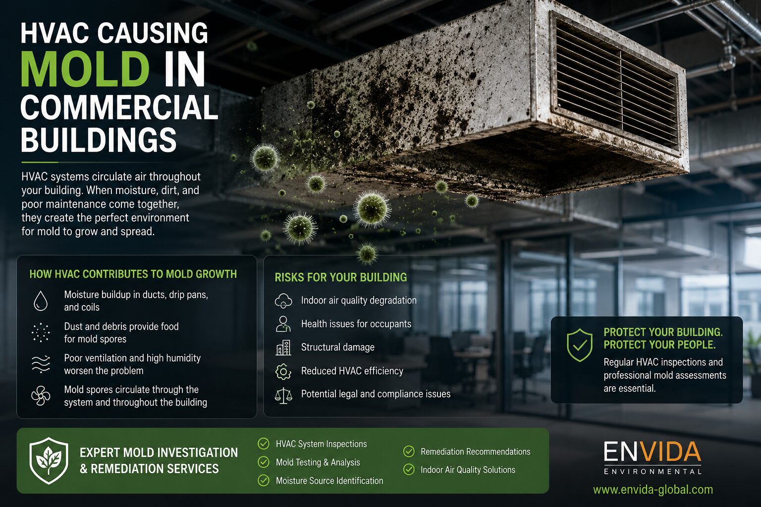 London, Household, HVAC Causing Mold In Commercial Buildings