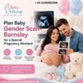 Plan Baby Gender Scan Barnsley For A Special Pregnancy Moment