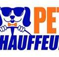 Paws On The Go: Friendly NYC Pet Transport For Local And Long Trips