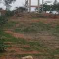 INR 17000,  167 Sq. Yard,  HMDA Residential Plots Sale In Mirkhanpet Near FCDA Amazon Data Center ORR 14