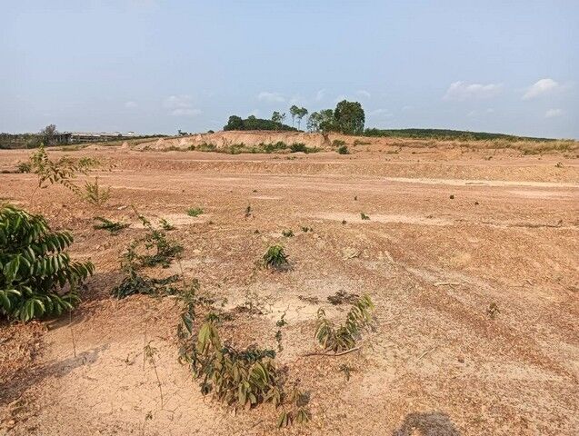 Bangkok, Real Estate For Sale, THB 2200000,  6 BR,  96656 Sq. Feet,  Land For Sale, Muang Lai Area, 241-2-56 Rai, Ban Bueng, Chonburi.
