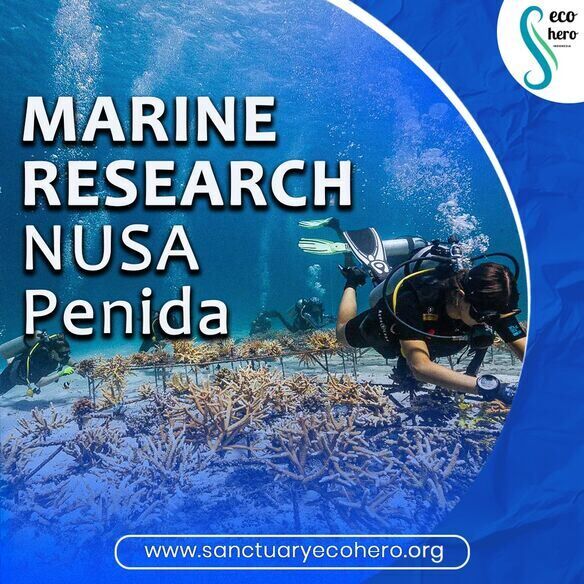 Bali, Training, Marine Research Nusa Penida