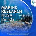 Marine Research Nusa Penida