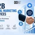 B2B Digital Marketing Services That Drive Growth | DDMS